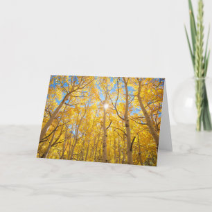 Carte Arbres d'Aspen   Sierra Nevada Mountains, CA