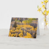 Carte Arbres d'Aspen | White River National Forest (Fleur jaune)