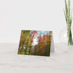 Carte Arbres d'automne et ciel bleu Photographie de la n