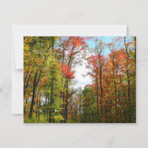 Carte Arbres d'automne et ciel bleu Photographie de la n