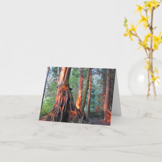 Carte Arbres de feu (Fleur jaune)