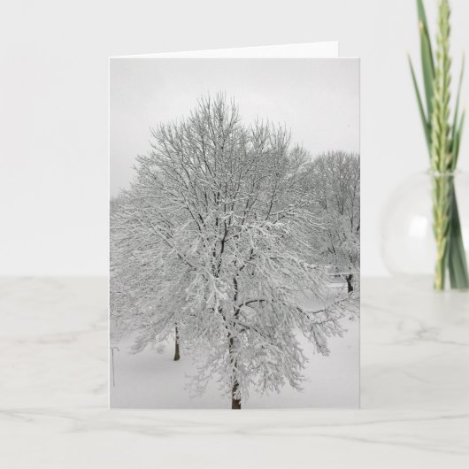 Carte Arbres de neige (Devant)