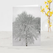 Carte Arbres de neige (Fleur jaune)