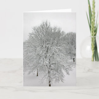 Carte Arbres de neige