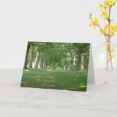 Carte Arbres de rangées supérieures Bryn Mawr (Fleur jaune)