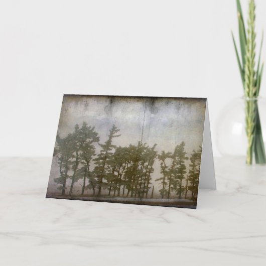 Carte Arbres d'hiver (Devant)