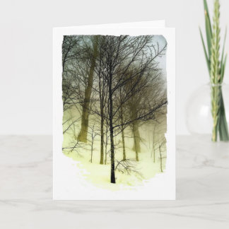 Carte Arbres enneigés