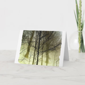 Carte Arbres enneigés