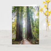 Carte Arbres grands (Fleur jaune)