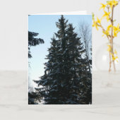 Carte Arbres impeccables dans la forêt (Fleur jaune)