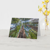 Carte Arbres séquoias | Comté de Marin, Californie (Fleur jaune)