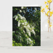 Carte Arbuste aux fleurs blanches (Fleur jaune)