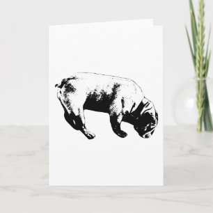 Carte Arc curieux, souhait graphique