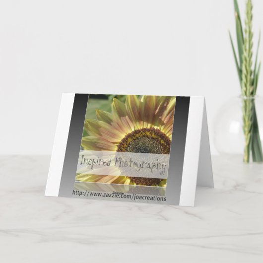 Carte Arc en ciel (Dos)