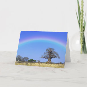 Carte Arc en ciel et baobab africain, Adansonia