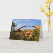 Carte Arc paysager au Parc national des Arches (Fleur jaune)