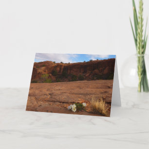 Carte Arches Slickrock et soir Primrose Paysage