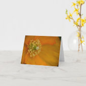 Carte Arctic Poppy Note (Fleur jaune)