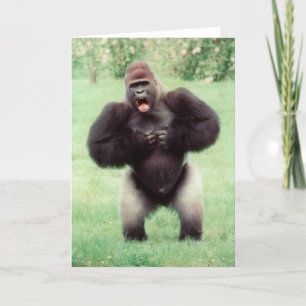 Carte Argent Gorilla battre la poitrine