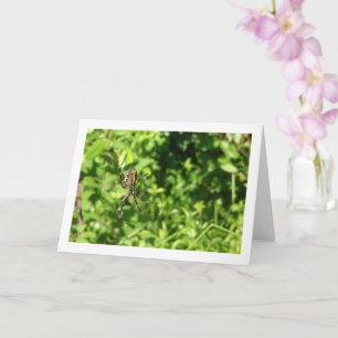 Carte Argiope bruennichi, Araignée de guêpe, Tisseur d'o