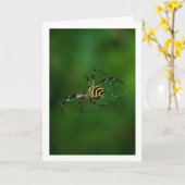 Carte Argiope bruennichi, Guêpe araignée, Araignée de ja (Fleur jaune)