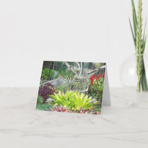 Carte Arid Garden Photo Pliée Note