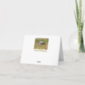 Carte Armadillo (Dos)