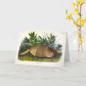 Carte Armadillo à nez long, à neuf bandes, par Audubon (Fleur jaune)