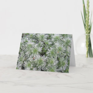 Carte Armoise de château de Powis