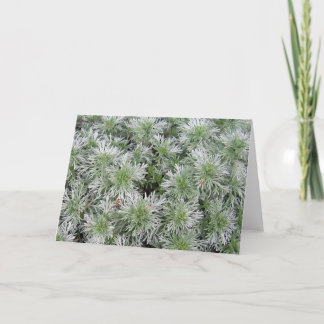 Carte Armoise de château de Powis