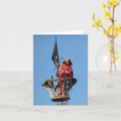 Carte Arr matey, Joyeux anniversaire (Fleur jaune)