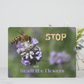 Carte Arrêter le devis des fleurs d'odeurs (Debout devant)