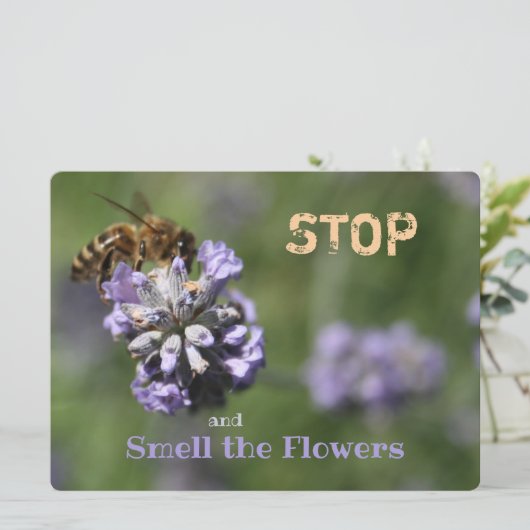 Carte Arrêter le devis des fleurs d'odeurs (Debout devant)