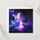 Carte Arrière - plan avec papillons de nuit (Devant/Arrière en situation)