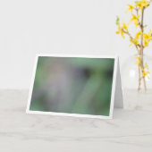 Carte Arrière - plan de flou vert (Fleur jaune)