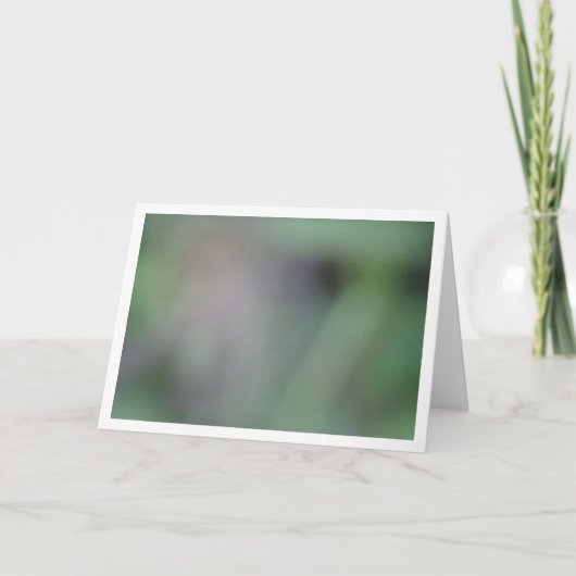 Carte Arrière - plan de flou vert (Devant)