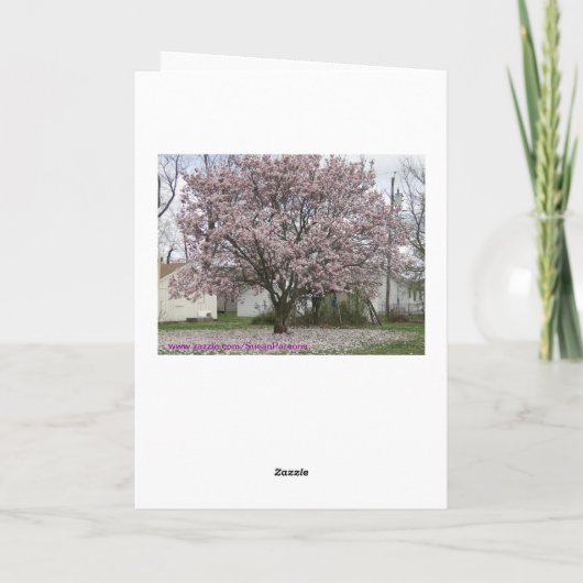 Carte Arrivée du printemps, Magnolia Tulip Tree (Dos)