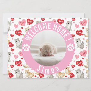 Carte Arrivée d'un nouveau petit amour, un chaton photo