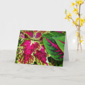 Carte Art de coleus (Fleur jaune)