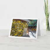 Carte Art de rue espagnol, ville de Valence (Devant)