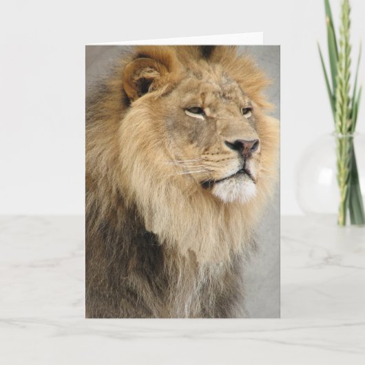 Carte art des lions (Devant)