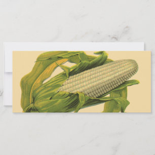 Carte Art d'étiquette de légume vintage, None Such Sugar