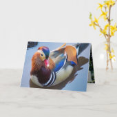 Carte Art par Davey Mandarin Duck (Fleur jaune)