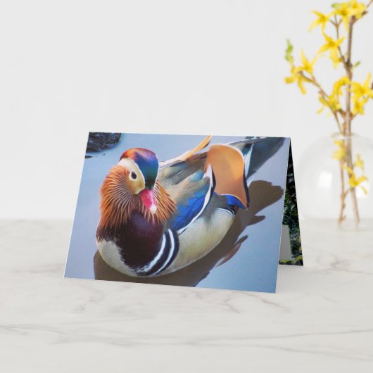 Carte Art par Davey Mandarin Duck (Fleur jaune)