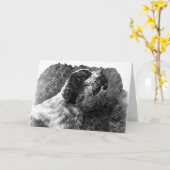 Carte Art vintage Springer Spaniel (Fleur jaune)