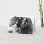 Carte Art vintage Springer Spaniel (Devant)