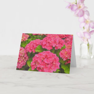 Carte artistique de fleurs de jardin d'hortensia r