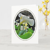 Carte Arum Lilies Blank Greeting Card (Fleur jaune)