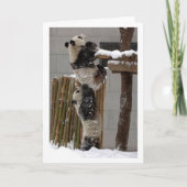 Carte ascenseur de panda (Devant)