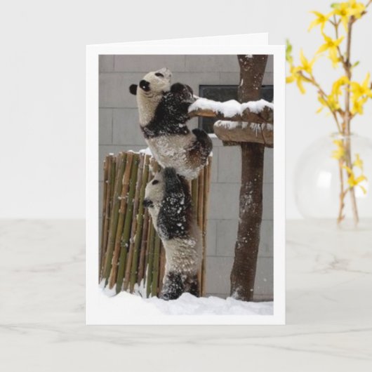 Carte ascenseur de panda (Fleur jaune)